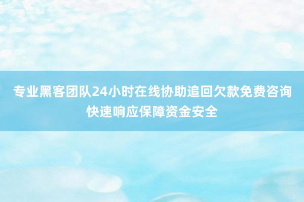 专业黑客团队24小时在线协助追回欠款免费咨询快速响应保障资金安全