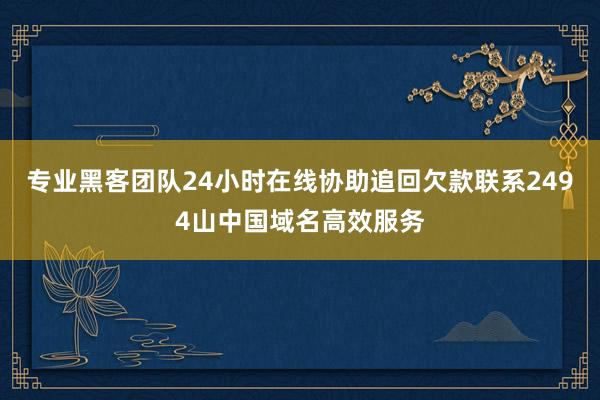 专业黑客团队24小时在线协助追回欠款联系2494山中国域名高效服务