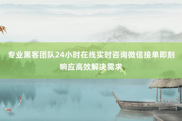 专业黑客团队24小时在线实时咨询微信接单即刻响应高效解决需求